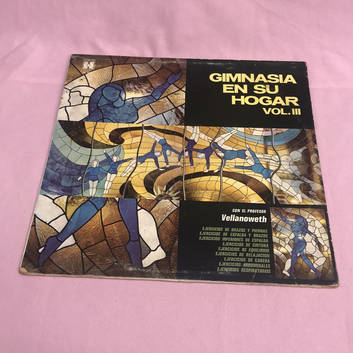 GIMNASIO EN TU HOGAR LP PROFESOR VELLANOWETH P1970