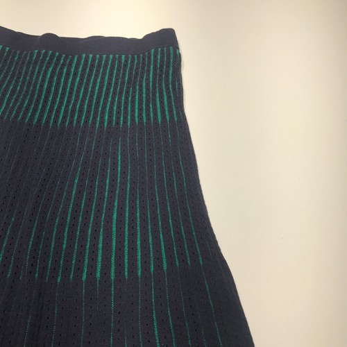 Ann Taylor Petite Skirt Womens Sz XSP Black Eyelet w/ Green Stripe A-Line Flare - Picture 5 of 13