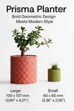 Prisma Planter – Bold Geometric Design Meets Modern Style