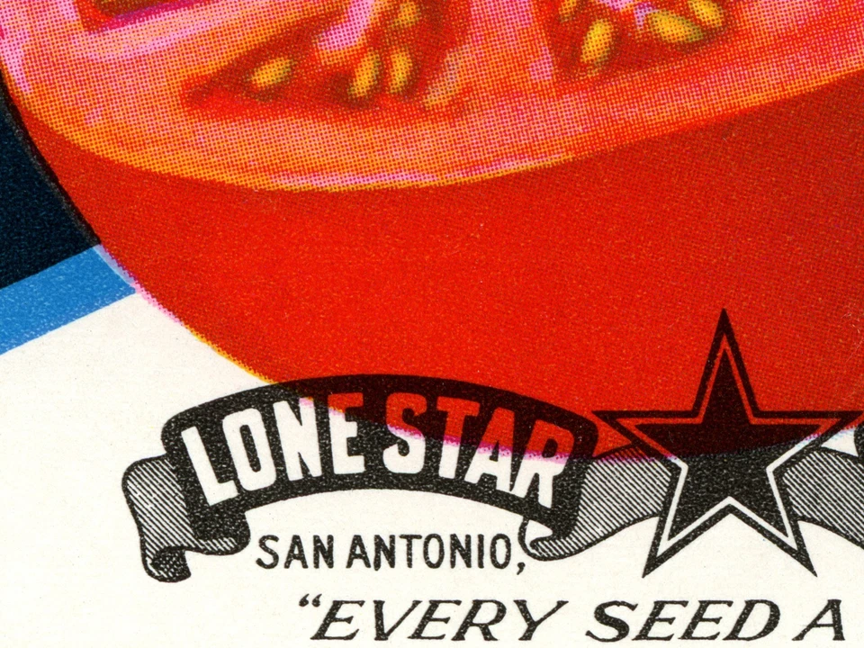 ¡PÓSTER paquete de semillas vintage de tomate! (hasta 24" x 36") - Cocina - Cocina - Arte Foto 3 de 4