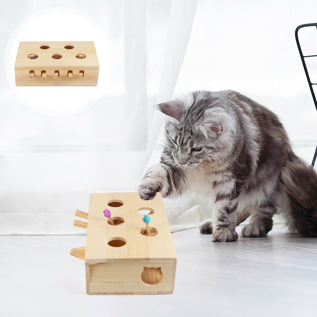 cat hunt toy