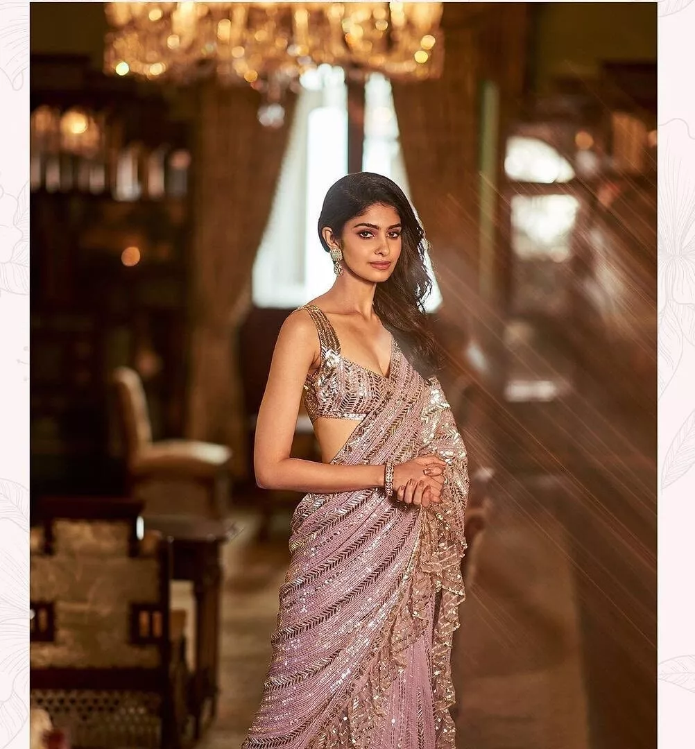 Pakistani saree design for wedding cheap