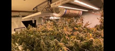 ChilLED growcraft x-6 1000w grow light HUGE YIELDS! SUPER EFFICIENT! USA Made