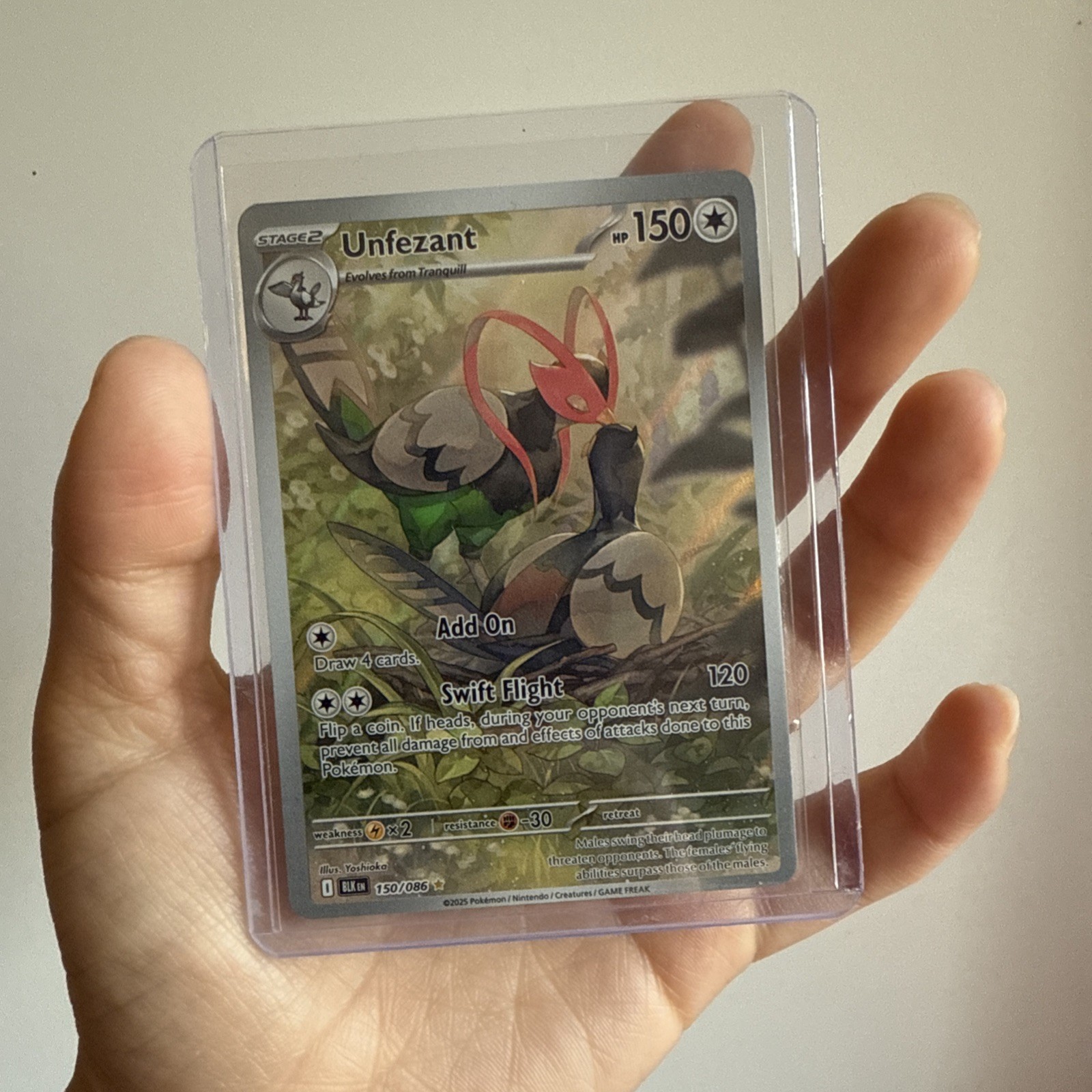 LP Unfezant 150/086 Sv Black Bolt Holo Pokemon TCG