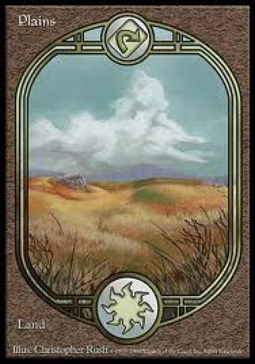 MTG English Plains NM Normal Unglued