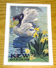 KEW GARDENS POSTCARD-TFL POSTER - BLACK SWANS - EMILIO C L TAFANI - 1920 DESIGN