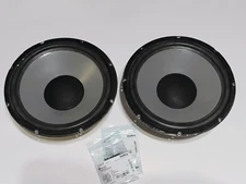 Infinity RS-2.5 Watkins 12" dual drive woofer_refoamed