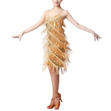 Women Salsa Latin Dance Dress Sequin Tassel Fringe Flapper Dress 1920s Gatsby...