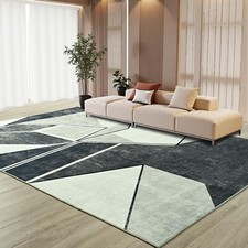 Modern Geometric Area Rug,5x7 Washable Area Rugs for Living Room, Bedroom,Sof...