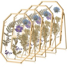 4 Pcs 4 x 6 Inches Glass Pressed Flower Frame Floating Picture Photo Octagon ...