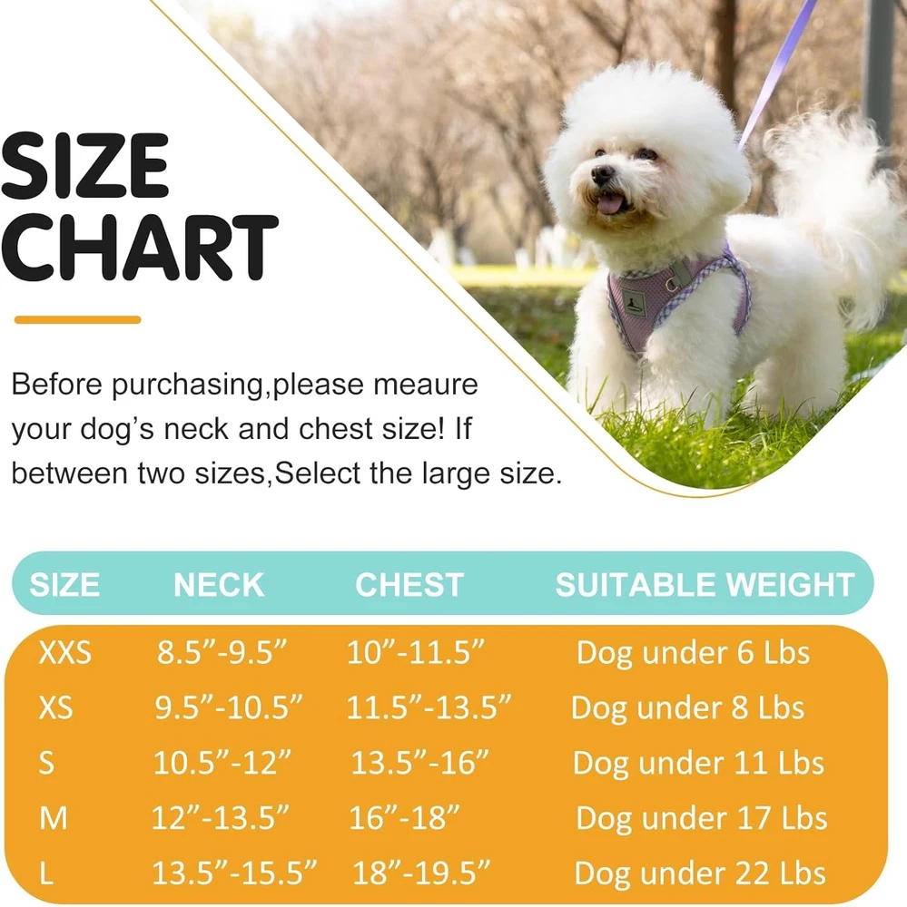 Dog Harness and Leash Set, No Pull Pet for Small Dogs Easy M, purple Dog Harness and Leash Set, No Pull Pet for Small Dogs Easy M, purple