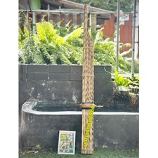 Khaen Bamboo Musical Folk Tradition Isan Lao Mouth Organ Instrument Key Dm Art