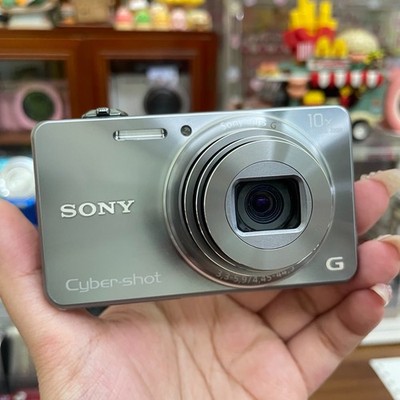 SONY Cyber Shot DSC-WX100 40x Digital Camera 18.2MP Silver 95% NEW