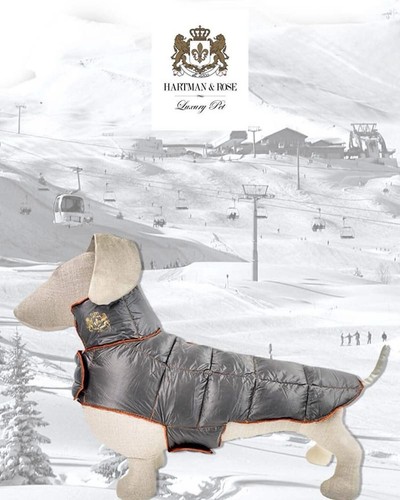 Hartman & Rose Ultra Lite Reversible Dog Down Puffer Coat Taupe & Burnt Orange S - Picture 2 of 8