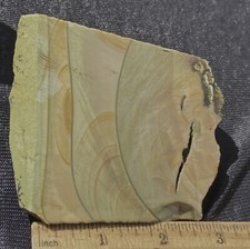 BLUE MOUNTAIN PICTURE JASPER BIG THICK ROUGH SLAB 160 GRAM 5.7 OZ OREGON 