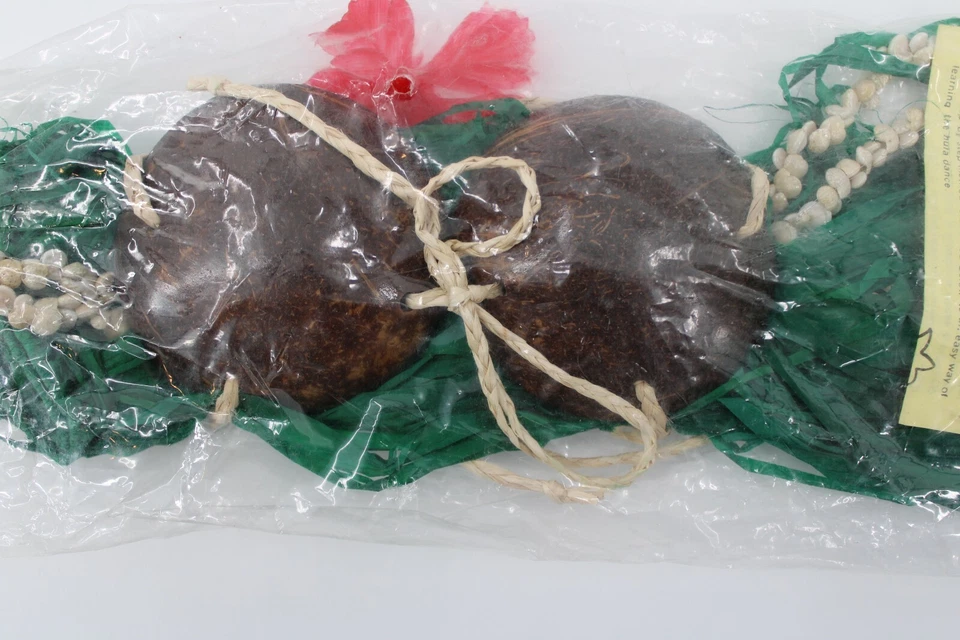 Conjunto Hula Hawaii Infantil 1-5 años Falda Hierba Verde Coco Top Shell Lei Pelo Flor Foto 3 de 4