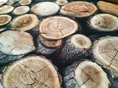 LUSHFABRIC Wood Tree Logs Stumps Wooden Log Wall Curtain Decor Upholstery Fabric 138cm wide