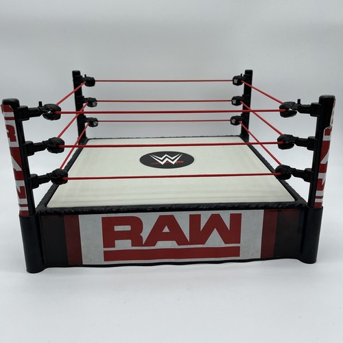 wwe ring fighting