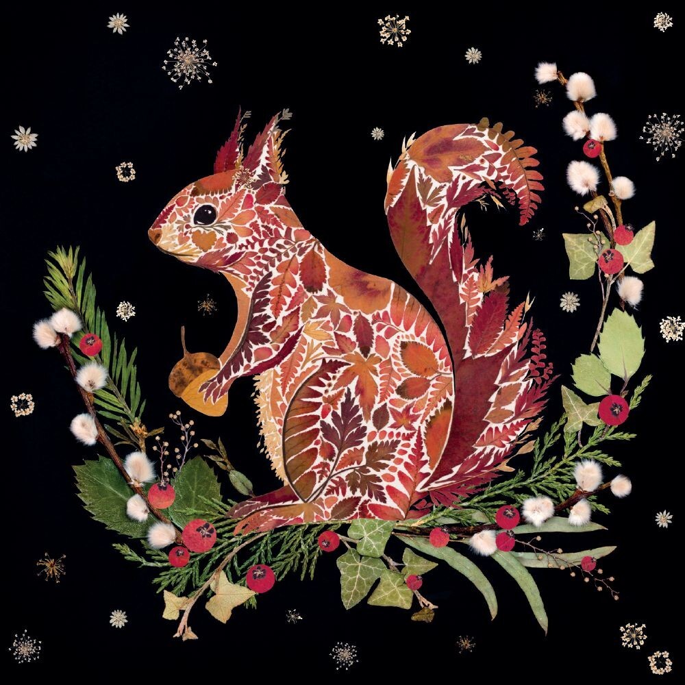 Winter Wild Press Winter Squirrel by Helen Ahpornsiri Pack of 8 Christmas Cards