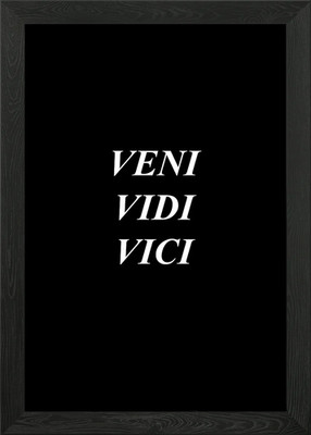 Veni Vidi Vici Gerahmtes Wandbild Poster Leinwanddruck Bild