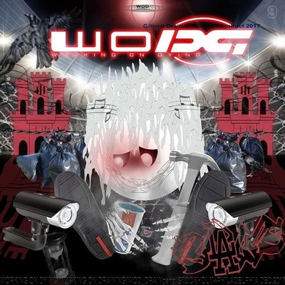 BLADEE WORKING ON DYING NEW LP