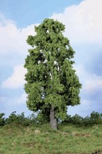 1 Kastanie 30 cm von HEKI 1:45