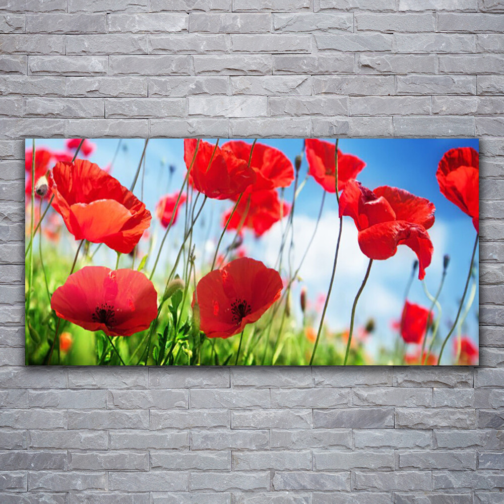 Tableau en acrylique motif coquelicots pour illuminer le mur de votre salon design