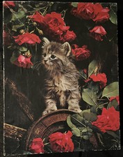 Vintage Springbok Puzzle 1975 The Way Of A Cat PZL4062