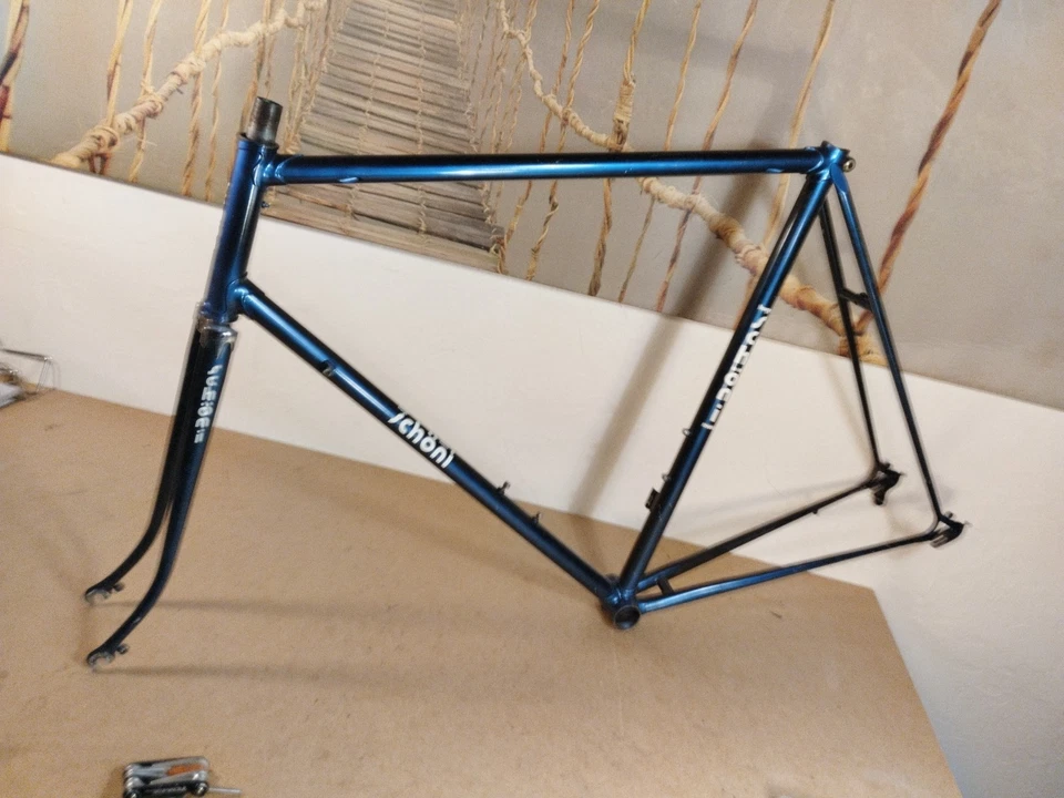 Cadre Course Acier Hugo Schöni Marly Campagnolo 60 Xxl - Photo 2/4