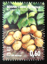 TIMBRE de BOSNIE-HERZÉGOVINE - HERCEG-BOSNA - POMMES de TERRE N°215 NEUF ** MNH