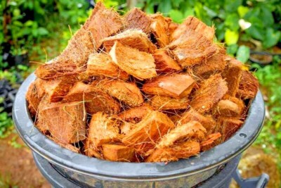 Coconut husk dry chips100% Natural Clean Coco Fiber Coir Chips Orchids Anthurium