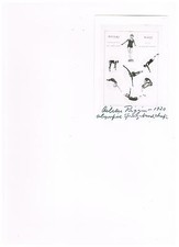 Aileen Riggin - Mistrz olimpijski 1920 Skoki wodne z USA (pływanie)
