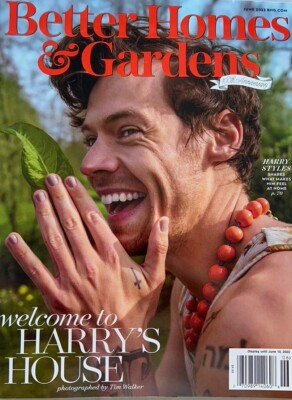 Harry Styles Better Homes & Gardens Magazine NEW RARE
