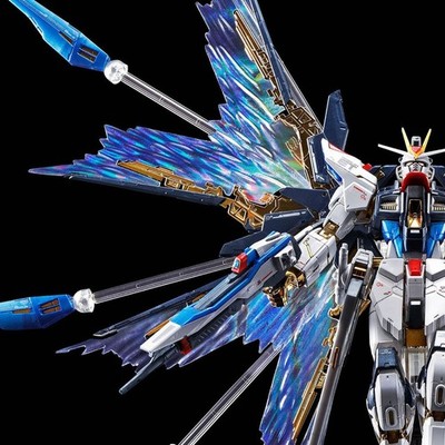 RG 1/144 STRIKE FREEDOM GUNDAM [TITANIUM FINISH] + EFECT UNIT WING OF THE SKIES