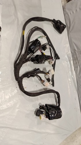 Full Main Wire Wiring Assy Harness For Talaria Sting R MX4