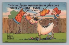 Cows and People in Field Vintage Postcard