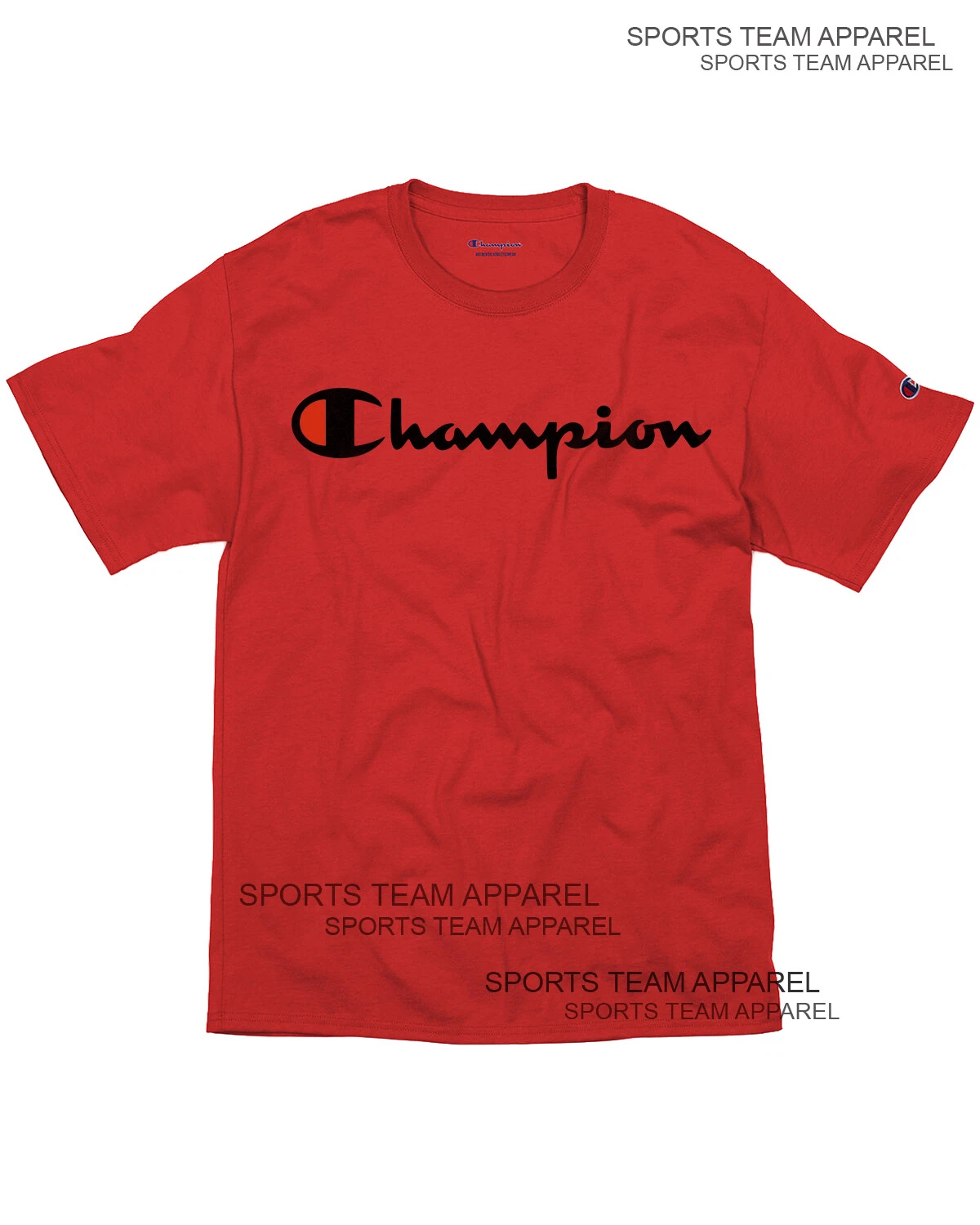 Champion Men's Jersey T-Shirt Classic Fit with Script Logo