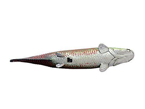 Favorite Coelacanth Soft Model Ancient Fish Figure Living Fossil Japan F/S New - Picture 4 of 5