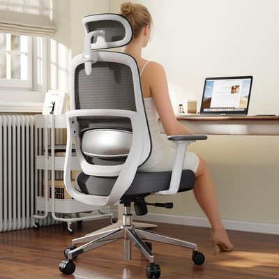 Ergonomic Office Chair, Home Office Desk Chairs, 3D Lumbar High Back Desk Cha...