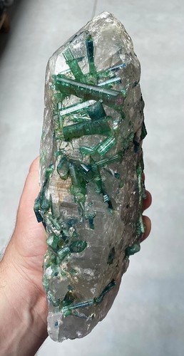 Wassermelonen Turmalin in Quarz Brasilien Brazil  Turmalin