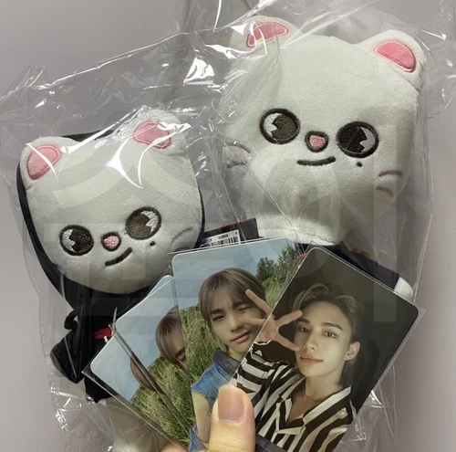 Stray Kids Skzoo OFFIZIELLES Kpop Streuner Kinder Plüschtiere POPUP Puppe Spielzeug Geburtstagsgeschenk- - Bild 13 von 32