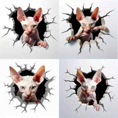4 haarlose Sphynx Katze klar Aufkleber Sticker Fenster doppelseitig kahl Muschi Stoßstange