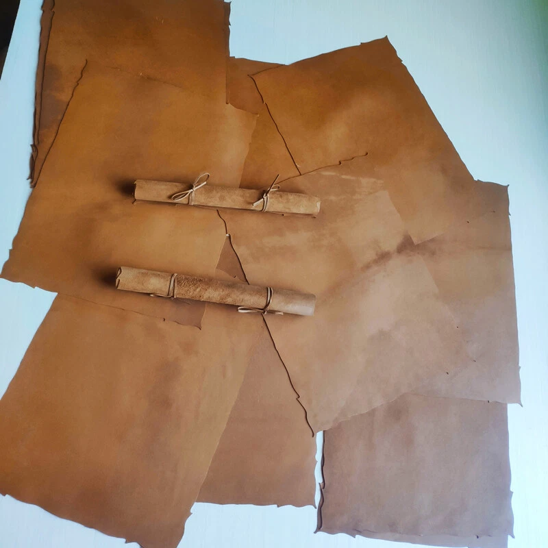 Sheepskin Parchment Paper