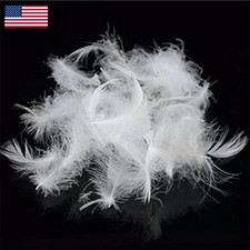 Rose Feather Bulk Goose Down Feather Stuffing Fill Hypoallergenic Pillow