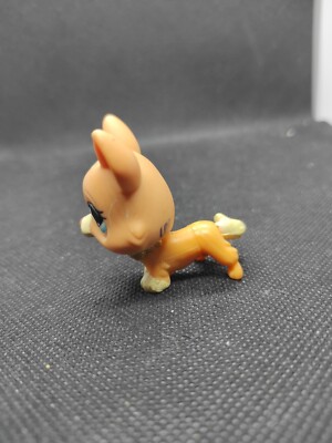 Lot PETSHOP LPS CHIEN CORGI 183 897 1864 3567 ref 21 Lot PETSHOP LPS CHIEN CORGI 183 897 1864 3567 ref 21