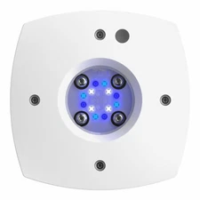 AI Prime SOL 46Watt - White - NEW! THE Classic is back in Prime form!