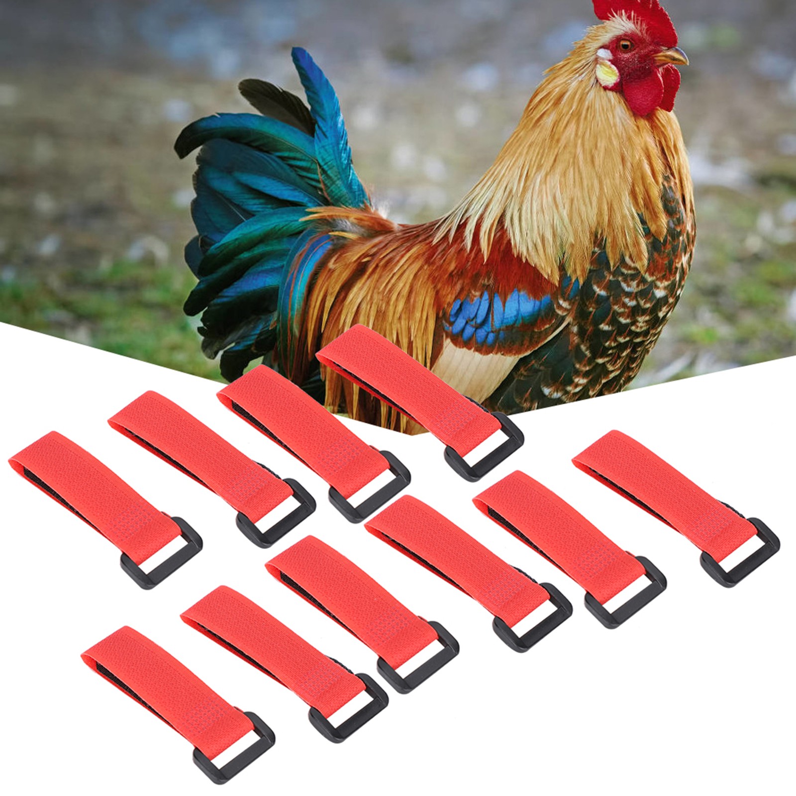 New 5Bag AntiHook Rooster Nylon Collar Noise Neck Strap Necklace Pet Chicken