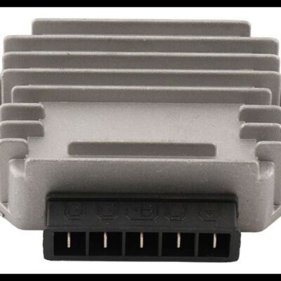 WILDBOAR WILDBOAR REGULATOR 230-42036