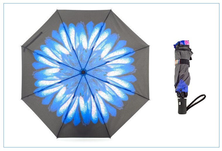 Soake Blue Daisy Auto Opening Close Folding Style Compact Umbrella Gift Brolley