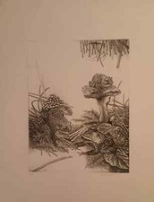 Luciano BIANCHI ( Cerro